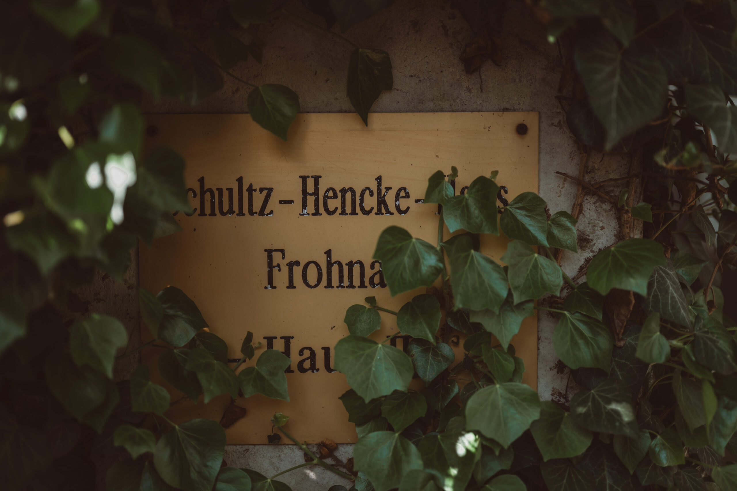 SCHULTZ-HENCKE-HAUS in Frohnau